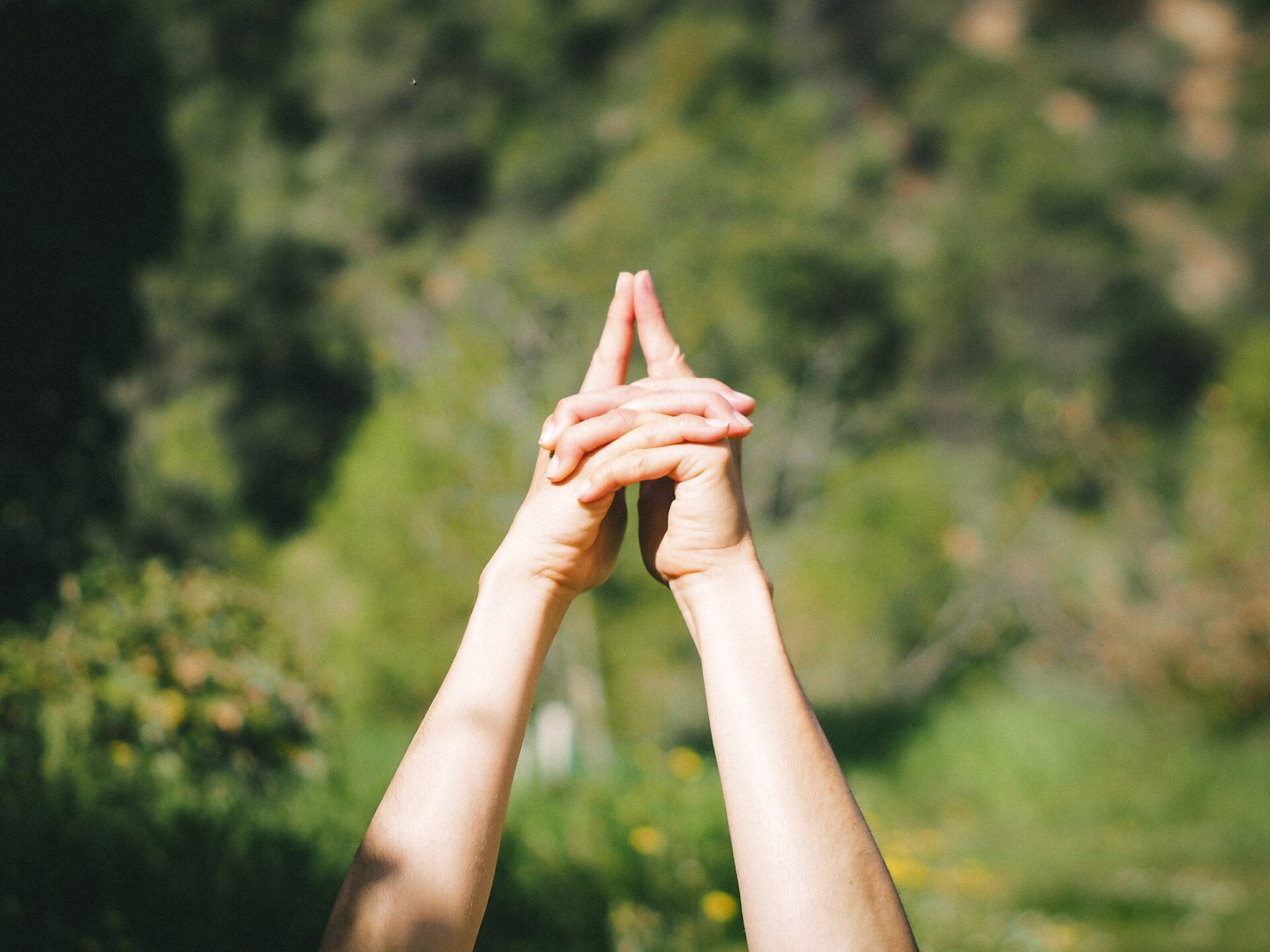 Manos unidas en equilibrio energético en un entorno natural